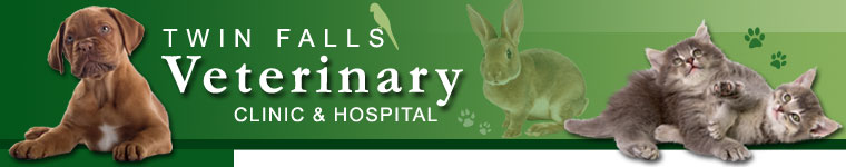 Twin Falls Veterinary Clinic & Hospital — caring for your pets
