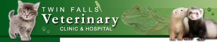 Twin Falls Veterinary Clinic & Hospital team and facility
